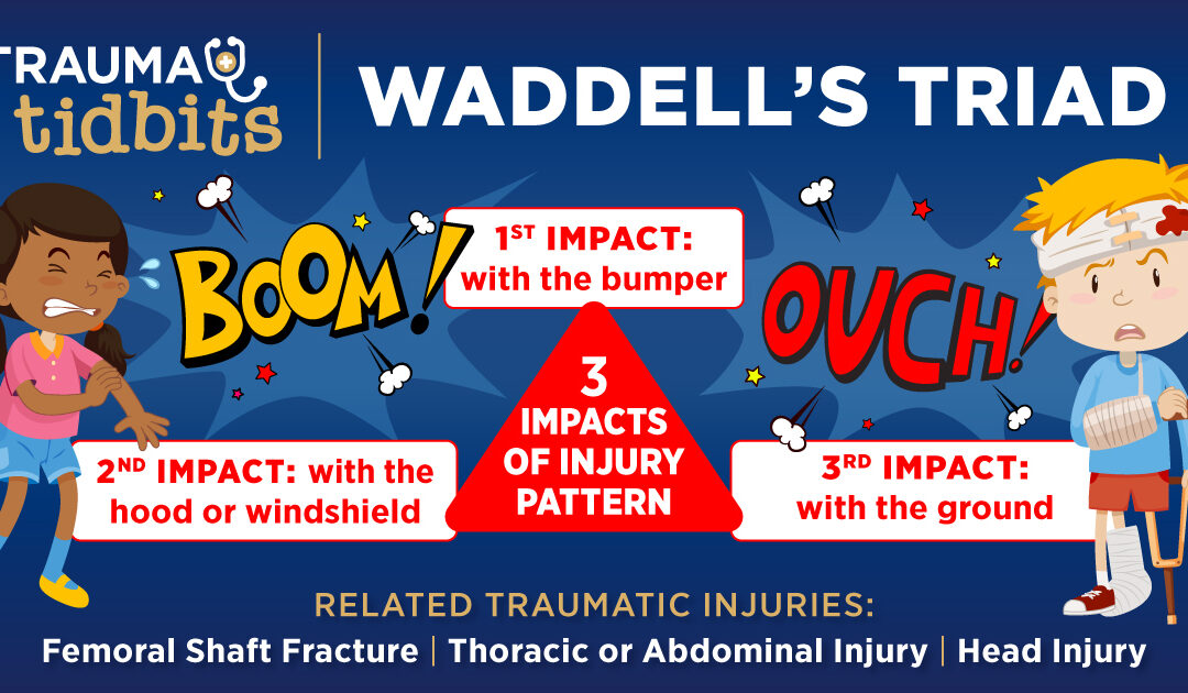 TRAUM0019_Tidbits_Waddells_Triad_1200x630_0724_PUB (1)