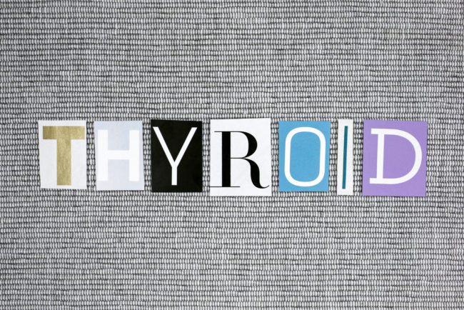 thyroid blog