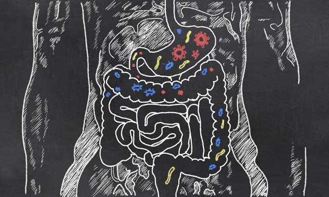 What’s gut health got to do with it?