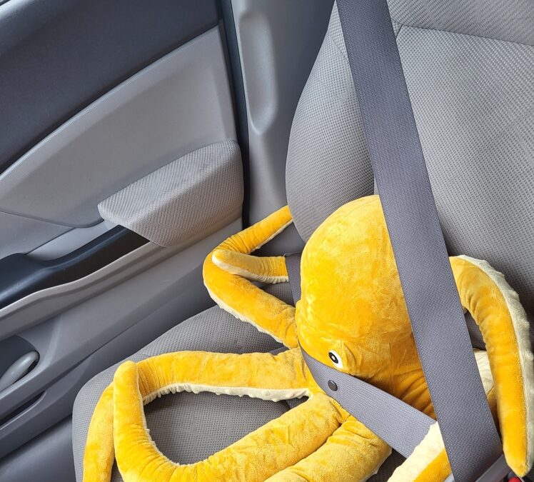 Heatstroke Hazard: Why Checking the Backseat Can Save Your Child’s Life