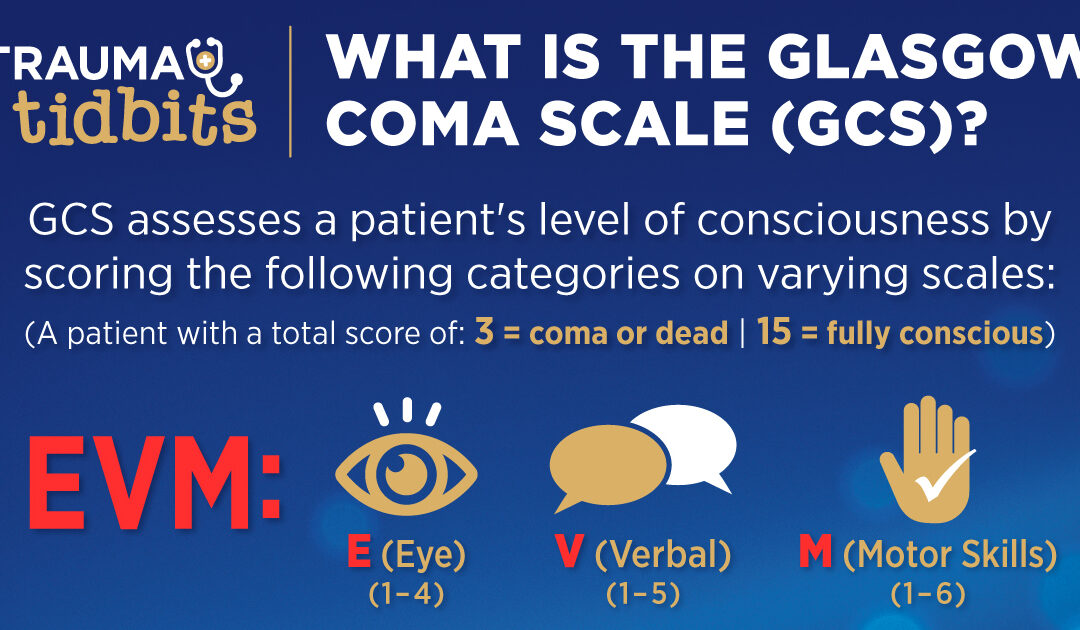 Understanding the Glasgow Coma Scale: A Vital Tool in Assessing Consciousness